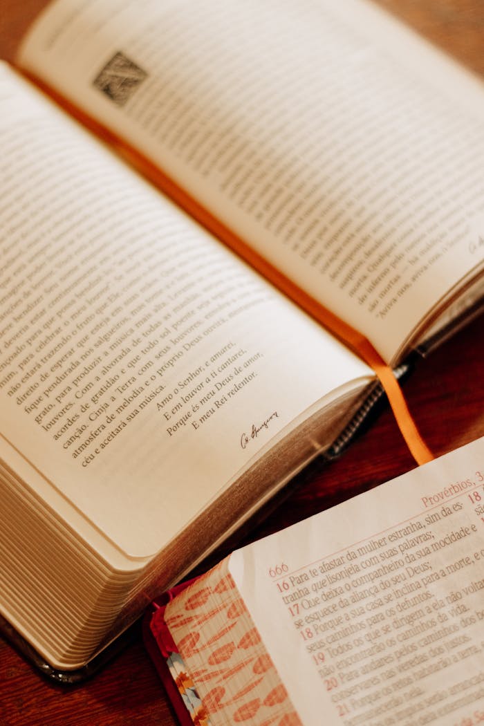 Home Open Bible with orange bookmark, captured in São Paulo. Perfect for religious and spiritual themes.